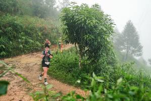 BIB: 
                            <button type="button" onclick="openModal(26384742)" class="btn btn-primary btn-sm float-right btn-popup" data-toggle="modal" data-target=".modal-high-quality">
                        <i class="fas fa-shopping-cart"></i> Add to Cart
                    </button>
                                            <button type="button" onclick="isThisMe(26384742, true)" class="btn btn-success btn-sm float-right btn-popup btn-isme hidden" data-toggle="tooltip" data-placement="bottom" title="นี่คือรูปของคุณใช่ไหม คลิกที่นี่เพื่อเอาเข้าอัลบั้ม">
                        <i class="fas fa-plus"></i> Add to album
                    </button>
                    <button type="button" onclick="isThisMe(26384742, false)" class="btn btn-warning btn-sm float-right btn-popup btn-isnotme hidden">
                        <i class="fas fa-ban"></i> Remove from album
                    </button>