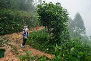 BIB: 
                            <button type="button" onclick="openModal(26382875)" class="btn btn-primary btn-sm float-right btn-popup" data-toggle="modal" data-target=".modal-high-quality">
                        <i class="fas fa-shopping-cart"></i> Add to Cart
                    </button>
                                            <button type="button" onclick="isThisMe(26382875, true)" class="btn btn-success btn-sm float-right btn-popup btn-isme hidden" data-toggle="tooltip" data-placement="bottom" title="นี่คือรูปของคุณใช่ไหม คลิกที่นี่เพื่อเอาเข้าอัลบั้ม">
                        <i class="fas fa-plus"></i> Add to album
                    </button>
                    <button type="button" onclick="isThisMe(26382875, false)" class="btn btn-warning btn-sm float-right btn-popup btn-isnotme hidden">
                        <i class="fas fa-ban"></i> Remove from album
                    </button>