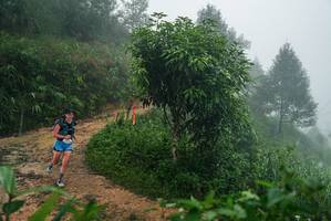 BIB: 
                            <button type="button" onclick="openModal(26379680)" class="btn btn-primary btn-sm float-right btn-popup" data-toggle="modal" data-target=".modal-high-quality">
                        <i class="fas fa-shopping-cart"></i> Add to Cart
                    </button>
                                            <button type="button" onclick="isThisMe(26379680, true)" class="btn btn-success btn-sm float-right btn-popup btn-isme hidden" data-toggle="tooltip" data-placement="bottom" title="นี่คือรูปของคุณใช่ไหม คลิกที่นี่เพื่อเอาเข้าอัลบั้ม">
                        <i class="fas fa-plus"></i> Add to album
                    </button>
                    <button type="button" onclick="isThisMe(26379680, false)" class="btn btn-warning btn-sm float-right btn-popup btn-isnotme hidden">
                        <i class="fas fa-ban"></i> Remove from album
                    </button>