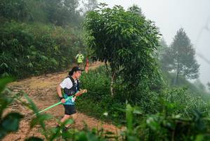 BIB: 
                            <button type="button" onclick="openModal(26381913)" class="btn btn-primary btn-sm float-right btn-popup" data-toggle="modal" data-target=".modal-high-quality">
                        <i class="fas fa-shopping-cart"></i> Add to Cart
                    </button>
                                            <button type="button" onclick="isThisMe(26381913, true)" class="btn btn-success btn-sm float-right btn-popup btn-isme hidden" data-toggle="tooltip" data-placement="bottom" title="นี่คือรูปของคุณใช่ไหม คลิกที่นี่เพื่อเอาเข้าอัลบั้ม">
                        <i class="fas fa-plus"></i> Add to album
                    </button>
                    <button type="button" onclick="isThisMe(26381913, false)" class="btn btn-warning btn-sm float-right btn-popup btn-isnotme hidden">
                        <i class="fas fa-ban"></i> Remove from album
                    </button>