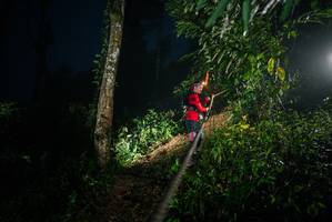 BIB: 
                            <button type="button" onclick="openModal(26374889)" class="btn btn-primary btn-sm float-right btn-popup" data-toggle="modal" data-target=".modal-high-quality">
                        <i class="fas fa-shopping-cart"></i> Add to Cart
                    </button>
                                            <button type="button" onclick="isThisMe(26374889, true)" class="btn btn-success btn-sm float-right btn-popup btn-isme hidden" data-toggle="tooltip" data-placement="bottom" title="นี่คือรูปของคุณใช่ไหม คลิกที่นี่เพื่อเอาเข้าอัลบั้ม">
                        <i class="fas fa-plus"></i> Add to album
                    </button>
                    <button type="button" onclick="isThisMe(26374889, false)" class="btn btn-warning btn-sm float-right btn-popup btn-isnotme hidden">
                        <i class="fas fa-ban"></i> Remove from album
                    </button>