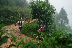 BIB: 
                            <button type="button" onclick="openModal(26381236)" class="btn btn-primary btn-sm float-right btn-popup" data-toggle="modal" data-target=".modal-high-quality">
                        <i class="fas fa-shopping-cart"></i> Add to Cart
                    </button>
                                            <button type="button" onclick="isThisMe(26381236, true)" class="btn btn-success btn-sm float-right btn-popup btn-isme hidden" data-toggle="tooltip" data-placement="bottom" title="นี่คือรูปของคุณใช่ไหม คลิกที่นี่เพื่อเอาเข้าอัลบั้ม">
                        <i class="fas fa-plus"></i> Add to album
                    </button>
                    <button type="button" onclick="isThisMe(26381236, false)" class="btn btn-warning btn-sm float-right btn-popup btn-isnotme hidden">
                        <i class="fas fa-ban"></i> Remove from album
                    </button>