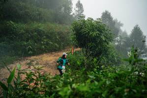 BIB: 
                            <button type="button" onclick="openModal(26377662)" class="btn btn-primary btn-sm float-right btn-popup" data-toggle="modal" data-target=".modal-high-quality">
                        <i class="fas fa-shopping-cart"></i> Add to Cart
                    </button>
                                            <button type="button" onclick="isThisMe(26377662, true)" class="btn btn-success btn-sm float-right btn-popup btn-isme hidden" data-toggle="tooltip" data-placement="bottom" title="นี่คือรูปของคุณใช่ไหม คลิกที่นี่เพื่อเอาเข้าอัลบั้ม">
                        <i class="fas fa-plus"></i> Add to album
                    </button>
                    <button type="button" onclick="isThisMe(26377662, false)" class="btn btn-warning btn-sm float-right btn-popup btn-isnotme hidden">
                        <i class="fas fa-ban"></i> Remove from album
                    </button>