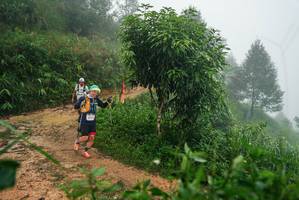 BIB: 
                            <button type="button" onclick="openModal(26383420)" class="btn btn-primary btn-sm float-right btn-popup" data-toggle="modal" data-target=".modal-high-quality">
                        <i class="fas fa-shopping-cart"></i> Add to Cart
                    </button>
                                            <button type="button" onclick="isThisMe(26383420, true)" class="btn btn-success btn-sm float-right btn-popup btn-isme hidden" data-toggle="tooltip" data-placement="bottom" title="นี่คือรูปของคุณใช่ไหม คลิกที่นี่เพื่อเอาเข้าอัลบั้ม">
                        <i class="fas fa-plus"></i> Add to album
                    </button>
                    <button type="button" onclick="isThisMe(26383420, false)" class="btn btn-warning btn-sm float-right btn-popup btn-isnotme hidden">
                        <i class="fas fa-ban"></i> Remove from album
                    </button>