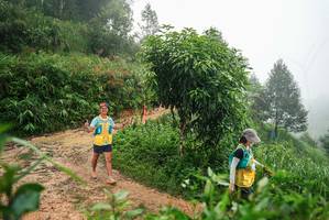 BIB: 
                            <button type="button" onclick="openModal(26386410)" class="btn btn-primary btn-sm float-right btn-popup" data-toggle="modal" data-target=".modal-high-quality">
                        <i class="fas fa-shopping-cart"></i> Add to Cart
                    </button>
                                            <button type="button" onclick="isThisMe(26386410, true)" class="btn btn-success btn-sm float-right btn-popup btn-isme hidden" data-toggle="tooltip" data-placement="bottom" title="นี่คือรูปของคุณใช่ไหม คลิกที่นี่เพื่อเอาเข้าอัลบั้ม">
                        <i class="fas fa-plus"></i> Add to album
                    </button>
                    <button type="button" onclick="isThisMe(26386410, false)" class="btn btn-warning btn-sm float-right btn-popup btn-isnotme hidden">
                        <i class="fas fa-ban"></i> Remove from album
                    </button>