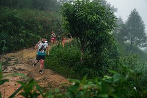 BIB: 
                            <button type="button" onclick="openModal(26379550)" class="btn btn-primary btn-sm float-right btn-popup" data-toggle="modal" data-target=".modal-high-quality">
                        <i class="fas fa-shopping-cart"></i> Add to Cart
                    </button>
                                            <button type="button" onclick="isThisMe(26379550, true)" class="btn btn-success btn-sm float-right btn-popup btn-isme hidden" data-toggle="tooltip" data-placement="bottom" title="นี่คือรูปของคุณใช่ไหม คลิกที่นี่เพื่อเอาเข้าอัลบั้ม">
                        <i class="fas fa-plus"></i> Add to album
                    </button>
                    <button type="button" onclick="isThisMe(26379550, false)" class="btn btn-warning btn-sm float-right btn-popup btn-isnotme hidden">
                        <i class="fas fa-ban"></i> Remove from album
                    </button>