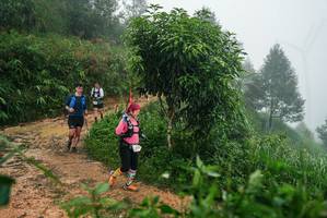 BIB: 
                            <button type="button" onclick="openModal(26382237)" class="btn btn-primary btn-sm float-right btn-popup" data-toggle="modal" data-target=".modal-high-quality">
                        <i class="fas fa-shopping-cart"></i> Add to Cart
                    </button>
                                            <button type="button" onclick="isThisMe(26382237, true)" class="btn btn-success btn-sm float-right btn-popup btn-isme hidden" data-toggle="tooltip" data-placement="bottom" title="นี่คือรูปของคุณใช่ไหม คลิกที่นี่เพื่อเอาเข้าอัลบั้ม">
                        <i class="fas fa-plus"></i> Add to album
                    </button>
                    <button type="button" onclick="isThisMe(26382237, false)" class="btn btn-warning btn-sm float-right btn-popup btn-isnotme hidden">
                        <i class="fas fa-ban"></i> Remove from album
                    </button>