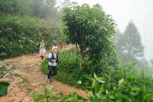 BIB: 
                            <button type="button" onclick="openModal(26384670)" class="btn btn-primary btn-sm float-right btn-popup" data-toggle="modal" data-target=".modal-high-quality">
                        <i class="fas fa-shopping-cart"></i> Add to Cart
                    </button>
                                            <button type="button" onclick="isThisMe(26384670, true)" class="btn btn-success btn-sm float-right btn-popup btn-isme hidden" data-toggle="tooltip" data-placement="bottom" title="นี่คือรูปของคุณใช่ไหม คลิกที่นี่เพื่อเอาเข้าอัลบั้ม">
                        <i class="fas fa-plus"></i> Add to album
                    </button>
                    <button type="button" onclick="isThisMe(26384670, false)" class="btn btn-warning btn-sm float-right btn-popup btn-isnotme hidden">
                        <i class="fas fa-ban"></i> Remove from album
                    </button>