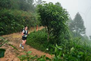 BIB: 
                            <button type="button" onclick="openModal(26383294)" class="btn btn-primary btn-sm float-right btn-popup" data-toggle="modal" data-target=".modal-high-quality">
                        <i class="fas fa-shopping-cart"></i> Add to Cart
                    </button>
                                            <button type="button" onclick="isThisMe(26383294, true)" class="btn btn-success btn-sm float-right btn-popup btn-isme hidden" data-toggle="tooltip" data-placement="bottom" title="นี่คือรูปของคุณใช่ไหม คลิกที่นี่เพื่อเอาเข้าอัลบั้ม">
                        <i class="fas fa-plus"></i> Add to album
                    </button>
                    <button type="button" onclick="isThisMe(26383294, false)" class="btn btn-warning btn-sm float-right btn-popup btn-isnotme hidden">
                        <i class="fas fa-ban"></i> Remove from album
                    </button>