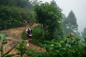 BIB: 
                            <button type="button" onclick="openModal(26380327)" class="btn btn-primary btn-sm float-right btn-popup" data-toggle="modal" data-target=".modal-high-quality">
                        <i class="fas fa-shopping-cart"></i> Add to Cart
                    </button>
                                            <button type="button" onclick="isThisMe(26380327, true)" class="btn btn-success btn-sm float-right btn-popup btn-isme hidden" data-toggle="tooltip" data-placement="bottom" title="นี่คือรูปของคุณใช่ไหม คลิกที่นี่เพื่อเอาเข้าอัลบั้ม">
                        <i class="fas fa-plus"></i> Add to album
                    </button>
                    <button type="button" onclick="isThisMe(26380327, false)" class="btn btn-warning btn-sm float-right btn-popup btn-isnotme hidden">
                        <i class="fas fa-ban"></i> Remove from album
                    </button>