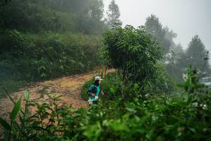 BIB: 
                            <button type="button" onclick="openModal(26377669)" class="btn btn-primary btn-sm float-right btn-popup" data-toggle="modal" data-target=".modal-high-quality">
                        <i class="fas fa-shopping-cart"></i> Add to Cart
                    </button>
                                            <button type="button" onclick="isThisMe(26377669, true)" class="btn btn-success btn-sm float-right btn-popup btn-isme hidden" data-toggle="tooltip" data-placement="bottom" title="นี่คือรูปของคุณใช่ไหม คลิกที่นี่เพื่อเอาเข้าอัลบั้ม">
                        <i class="fas fa-plus"></i> Add to album
                    </button>
                    <button type="button" onclick="isThisMe(26377669, false)" class="btn btn-warning btn-sm float-right btn-popup btn-isnotme hidden">
                        <i class="fas fa-ban"></i> Remove from album
                    </button>