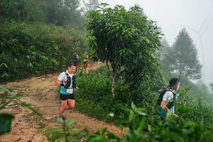 BIB: 
                            <button type="button" onclick="openModal(26383546)" class="btn btn-primary btn-sm float-right btn-popup" data-toggle="modal" data-target=".modal-high-quality">
                        <i class="fas fa-shopping-cart"></i> Add to Cart
                    </button>
                                            <button type="button" onclick="isThisMe(26383546, true)" class="btn btn-success btn-sm float-right btn-popup btn-isme hidden" data-toggle="tooltip" data-placement="bottom" title="นี่คือรูปของคุณใช่ไหม คลิกที่นี่เพื่อเอาเข้าอัลบั้ม">
                        <i class="fas fa-plus"></i> Add to album
                    </button>
                    <button type="button" onclick="isThisMe(26383546, false)" class="btn btn-warning btn-sm float-right btn-popup btn-isnotme hidden">
                        <i class="fas fa-ban"></i> Remove from album
                    </button>