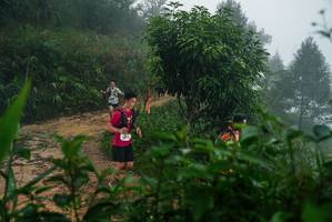 BIB: 
                            <button type="button" onclick="openModal(26379475)" class="btn btn-primary btn-sm float-right btn-popup" data-toggle="modal" data-target=".modal-high-quality">
                        <i class="fas fa-shopping-cart"></i> Add to Cart
                    </button>
                                            <button type="button" onclick="isThisMe(26379475, true)" class="btn btn-success btn-sm float-right btn-popup btn-isme hidden" data-toggle="tooltip" data-placement="bottom" title="นี่คือรูปของคุณใช่ไหม คลิกที่นี่เพื่อเอาเข้าอัลบั้ม">
                        <i class="fas fa-plus"></i> Add to album
                    </button>
                    <button type="button" onclick="isThisMe(26379475, false)" class="btn btn-warning btn-sm float-right btn-popup btn-isnotme hidden">
                        <i class="fas fa-ban"></i> Remove from album
                    </button>