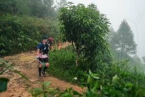 BIB: 
                            <button type="button" onclick="openModal(26383778)" class="btn btn-primary btn-sm float-right btn-popup" data-toggle="modal" data-target=".modal-high-quality">
                        <i class="fas fa-shopping-cart"></i> Add to Cart
                    </button>
                                            <button type="button" onclick="isThisMe(26383778, true)" class="btn btn-success btn-sm float-right btn-popup btn-isme hidden" data-toggle="tooltip" data-placement="bottom" title="นี่คือรูปของคุณใช่ไหม คลิกที่นี่เพื่อเอาเข้าอัลบั้ม">
                        <i class="fas fa-plus"></i> Add to album
                    </button>
                    <button type="button" onclick="isThisMe(26383778, false)" class="btn btn-warning btn-sm float-right btn-popup btn-isnotme hidden">
                        <i class="fas fa-ban"></i> Remove from album
                    </button>