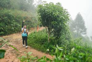 BIB: 
                            <button type="button" onclick="openModal(26384867)" class="btn btn-primary btn-sm float-right btn-popup" data-toggle="modal" data-target=".modal-high-quality">
                        <i class="fas fa-shopping-cart"></i> Add to Cart
                    </button>
                                            <button type="button" onclick="isThisMe(26384867, true)" class="btn btn-success btn-sm float-right btn-popup btn-isme hidden" data-toggle="tooltip" data-placement="bottom" title="นี่คือรูปของคุณใช่ไหม คลิกที่นี่เพื่อเอาเข้าอัลบั้ม">
                        <i class="fas fa-plus"></i> Add to album
                    </button>
                    <button type="button" onclick="isThisMe(26384867, false)" class="btn btn-warning btn-sm float-right btn-popup btn-isnotme hidden">
                        <i class="fas fa-ban"></i> Remove from album
                    </button>