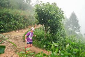 BIB: 
                            <button type="button" onclick="openModal(26385180)" class="btn btn-primary btn-sm float-right btn-popup" data-toggle="modal" data-target=".modal-high-quality">
                        <i class="fas fa-shopping-cart"></i> Add to Cart
                    </button>
                                            <button type="button" onclick="isThisMe(26385180, true)" class="btn btn-success btn-sm float-right btn-popup btn-isme hidden" data-toggle="tooltip" data-placement="bottom" title="นี่คือรูปของคุณใช่ไหม คลิกที่นี่เพื่อเอาเข้าอัลบั้ม">
                        <i class="fas fa-plus"></i> Add to album
                    </button>
                    <button type="button" onclick="isThisMe(26385180, false)" class="btn btn-warning btn-sm float-right btn-popup btn-isnotme hidden">
                        <i class="fas fa-ban"></i> Remove from album
                    </button>