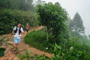 BIB: 
                            <button type="button" onclick="openModal(26383331)" class="btn btn-primary btn-sm float-right btn-popup" data-toggle="modal" data-target=".modal-high-quality">
                        <i class="fas fa-shopping-cart"></i> Add to Cart
                    </button>
                                            <button type="button" onclick="isThisMe(26383331, true)" class="btn btn-success btn-sm float-right btn-popup btn-isme hidden" data-toggle="tooltip" data-placement="bottom" title="นี่คือรูปของคุณใช่ไหม คลิกที่นี่เพื่อเอาเข้าอัลบั้ม">
                        <i class="fas fa-plus"></i> Add to album
                    </button>
                    <button type="button" onclick="isThisMe(26383331, false)" class="btn btn-warning btn-sm float-right btn-popup btn-isnotme hidden">
                        <i class="fas fa-ban"></i> Remove from album
                    </button>