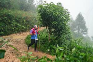 BIB: 
                            <button type="button" onclick="openModal(26384564)" class="btn btn-primary btn-sm float-right btn-popup" data-toggle="modal" data-target=".modal-high-quality">
                        <i class="fas fa-shopping-cart"></i> Add to Cart
                    </button>
                                            <button type="button" onclick="isThisMe(26384564, true)" class="btn btn-success btn-sm float-right btn-popup btn-isme hidden" data-toggle="tooltip" data-placement="bottom" title="นี่คือรูปของคุณใช่ไหม คลิกที่นี่เพื่อเอาเข้าอัลบั้ม">
                        <i class="fas fa-plus"></i> Add to album
                    </button>
                    <button type="button" onclick="isThisMe(26384564, false)" class="btn btn-warning btn-sm float-right btn-popup btn-isnotme hidden">
                        <i class="fas fa-ban"></i> Remove from album
                    </button>