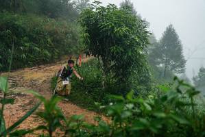 BIB: 
                            <button type="button" onclick="openModal(26380254)" class="btn btn-primary btn-sm float-right btn-popup" data-toggle="modal" data-target=".modal-high-quality">
                        <i class="fas fa-shopping-cart"></i> Add to Cart
                    </button>
                                            <button type="button" onclick="isThisMe(26380254, true)" class="btn btn-success btn-sm float-right btn-popup btn-isme hidden" data-toggle="tooltip" data-placement="bottom" title="นี่คือรูปของคุณใช่ไหม คลิกที่นี่เพื่อเอาเข้าอัลบั้ม">
                        <i class="fas fa-plus"></i> Add to album
                    </button>
                    <button type="button" onclick="isThisMe(26380254, false)" class="btn btn-warning btn-sm float-right btn-popup btn-isnotme hidden">
                        <i class="fas fa-ban"></i> Remove from album
                    </button>