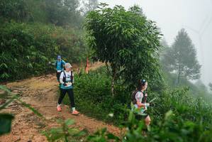 BIB: 
                            <button type="button" onclick="openModal(26383645)" class="btn btn-primary btn-sm float-right btn-popup" data-toggle="modal" data-target=".modal-high-quality">
                        <i class="fas fa-shopping-cart"></i> Add to Cart
                    </button>
                                            <button type="button" onclick="isThisMe(26383645, true)" class="btn btn-success btn-sm float-right btn-popup btn-isme hidden" data-toggle="tooltip" data-placement="bottom" title="นี่คือรูปของคุณใช่ไหม คลิกที่นี่เพื่อเอาเข้าอัลบั้ม">
                        <i class="fas fa-plus"></i> Add to album
                    </button>
                    <button type="button" onclick="isThisMe(26383645, false)" class="btn btn-warning btn-sm float-right btn-popup btn-isnotme hidden">
                        <i class="fas fa-ban"></i> Remove from album
                    </button>