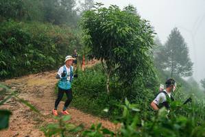 BIB: 
                            <button type="button" onclick="openModal(26382386)" class="btn btn-primary btn-sm float-right btn-popup" data-toggle="modal" data-target=".modal-high-quality">
                        <i class="fas fa-shopping-cart"></i> Add to Cart
                    </button>
                                            <button type="button" onclick="isThisMe(26382386, true)" class="btn btn-success btn-sm float-right btn-popup btn-isme hidden" data-toggle="tooltip" data-placement="bottom" title="นี่คือรูปของคุณใช่ไหม คลิกที่นี่เพื่อเอาเข้าอัลบั้ม">
                        <i class="fas fa-plus"></i> Add to album
                    </button>
                    <button type="button" onclick="isThisMe(26382386, false)" class="btn btn-warning btn-sm float-right btn-popup btn-isnotme hidden">
                        <i class="fas fa-ban"></i> Remove from album
                    </button>