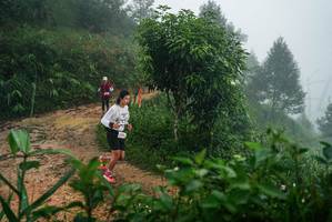 BIB: 
                            <button type="button" onclick="openModal(26380152)" class="btn btn-primary btn-sm float-right btn-popup" data-toggle="modal" data-target=".modal-high-quality">
                        <i class="fas fa-shopping-cart"></i> Add to Cart
                    </button>
                                            <button type="button" onclick="isThisMe(26380152, true)" class="btn btn-success btn-sm float-right btn-popup btn-isme hidden" data-toggle="tooltip" data-placement="bottom" title="นี่คือรูปของคุณใช่ไหม คลิกที่นี่เพื่อเอาเข้าอัลบั้ม">
                        <i class="fas fa-plus"></i> Add to album
                    </button>
                    <button type="button" onclick="isThisMe(26380152, false)" class="btn btn-warning btn-sm float-right btn-popup btn-isnotme hidden">
                        <i class="fas fa-ban"></i> Remove from album
                    </button>