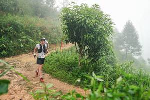 BIB: 
                            <button type="button" onclick="openModal(26385068)" class="btn btn-primary btn-sm float-right btn-popup" data-toggle="modal" data-target=".modal-high-quality">
                        <i class="fas fa-shopping-cart"></i> Add to Cart
                    </button>
                                            <button type="button" onclick="isThisMe(26385068, true)" class="btn btn-success btn-sm float-right btn-popup btn-isme hidden" data-toggle="tooltip" data-placement="bottom" title="นี่คือรูปของคุณใช่ไหม คลิกที่นี่เพื่อเอาเข้าอัลบั้ม">
                        <i class="fas fa-plus"></i> Add to album
                    </button>
                    <button type="button" onclick="isThisMe(26385068, false)" class="btn btn-warning btn-sm float-right btn-popup btn-isnotme hidden">
                        <i class="fas fa-ban"></i> Remove from album
                    </button>