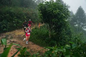 BIB: 
                            <button type="button" onclick="openModal(26379580)" class="btn btn-primary btn-sm float-right btn-popup" data-toggle="modal" data-target=".modal-high-quality">
                        <i class="fas fa-shopping-cart"></i> Add to Cart
                    </button>
                                            <button type="button" onclick="isThisMe(26379580, true)" class="btn btn-success btn-sm float-right btn-popup btn-isme hidden" data-toggle="tooltip" data-placement="bottom" title="นี่คือรูปของคุณใช่ไหม คลิกที่นี่เพื่อเอาเข้าอัลบั้ม">
                        <i class="fas fa-plus"></i> Add to album
                    </button>
                    <button type="button" onclick="isThisMe(26379580, false)" class="btn btn-warning btn-sm float-right btn-popup btn-isnotme hidden">
                        <i class="fas fa-ban"></i> Remove from album
                    </button>