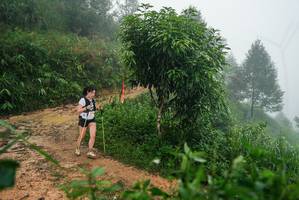 BIB: 
                            <button type="button" onclick="openModal(26382767)" class="btn btn-primary btn-sm float-right btn-popup" data-toggle="modal" data-target=".modal-high-quality">
                        <i class="fas fa-shopping-cart"></i> Add to Cart
                    </button>
                                            <button type="button" onclick="isThisMe(26382767, true)" class="btn btn-success btn-sm float-right btn-popup btn-isme hidden" data-toggle="tooltip" data-placement="bottom" title="นี่คือรูปของคุณใช่ไหม คลิกที่นี่เพื่อเอาเข้าอัลบั้ม">
                        <i class="fas fa-plus"></i> Add to album
                    </button>
                    <button type="button" onclick="isThisMe(26382767, false)" class="btn btn-warning btn-sm float-right btn-popup btn-isnotme hidden">
                        <i class="fas fa-ban"></i> Remove from album
                    </button>