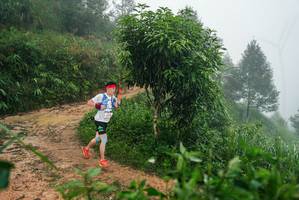 BIB: 
                            <button type="button" onclick="openModal(26382033)" class="btn btn-primary btn-sm float-right btn-popup" data-toggle="modal" data-target=".modal-high-quality">
                        <i class="fas fa-shopping-cart"></i> Add to Cart
                    </button>
                                            <button type="button" onclick="isThisMe(26382033, true)" class="btn btn-success btn-sm float-right btn-popup btn-isme hidden" data-toggle="tooltip" data-placement="bottom" title="นี่คือรูปของคุณใช่ไหม คลิกที่นี่เพื่อเอาเข้าอัลบั้ม">
                        <i class="fas fa-plus"></i> Add to album
                    </button>
                    <button type="button" onclick="isThisMe(26382033, false)" class="btn btn-warning btn-sm float-right btn-popup btn-isnotme hidden">
                        <i class="fas fa-ban"></i> Remove from album
                    </button>