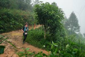 BIB: 
                            <button type="button" onclick="openModal(26383211)" class="btn btn-primary btn-sm float-right btn-popup" data-toggle="modal" data-target=".modal-high-quality">
                        <i class="fas fa-shopping-cart"></i> Add to Cart
                    </button>
                                            <button type="button" onclick="isThisMe(26383211, true)" class="btn btn-success btn-sm float-right btn-popup btn-isme hidden" data-toggle="tooltip" data-placement="bottom" title="นี่คือรูปของคุณใช่ไหม คลิกที่นี่เพื่อเอาเข้าอัลบั้ม">
                        <i class="fas fa-plus"></i> Add to album
                    </button>
                    <button type="button" onclick="isThisMe(26383211, false)" class="btn btn-warning btn-sm float-right btn-popup btn-isnotme hidden">
                        <i class="fas fa-ban"></i> Remove from album
                    </button>