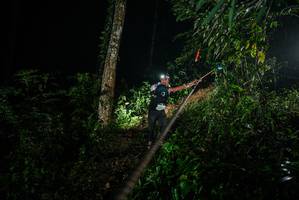 BIB: 
                            <button type="button" onclick="openModal(26371924)" class="btn btn-primary btn-sm float-right btn-popup" data-toggle="modal" data-target=".modal-high-quality">
                        <i class="fas fa-shopping-cart"></i> Add to Cart
                    </button>
                                            <button type="button" onclick="isThisMe(26371924, true)" class="btn btn-success btn-sm float-right btn-popup btn-isme hidden" data-toggle="tooltip" data-placement="bottom" title="นี่คือรูปของคุณใช่ไหม คลิกที่นี่เพื่อเอาเข้าอัลบั้ม">
                        <i class="fas fa-plus"></i> Add to album
                    </button>
                    <button type="button" onclick="isThisMe(26371924, false)" class="btn btn-warning btn-sm float-right btn-popup btn-isnotme hidden">
                        <i class="fas fa-ban"></i> Remove from album
                    </button>