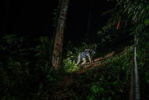 BIB: 
                            <button type="button" onclick="openModal(26371871)" class="btn btn-primary btn-sm float-right btn-popup" data-toggle="modal" data-target=".modal-high-quality">
                        <i class="fas fa-shopping-cart"></i> Add to Cart
                    </button>
                                            <button type="button" onclick="isThisMe(26371871, true)" class="btn btn-success btn-sm float-right btn-popup btn-isme hidden" data-toggle="tooltip" data-placement="bottom" title="นี่คือรูปของคุณใช่ไหม คลิกที่นี่เพื่อเอาเข้าอัลบั้ม">
                        <i class="fas fa-plus"></i> Add to album
                    </button>
                    <button type="button" onclick="isThisMe(26371871, false)" class="btn btn-warning btn-sm float-right btn-popup btn-isnotme hidden">
                        <i class="fas fa-ban"></i> Remove from album
                    </button>