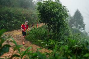 BIB: 
                            <button type="button" onclick="openModal(26381311)" class="btn btn-primary btn-sm float-right btn-popup" data-toggle="modal" data-target=".modal-high-quality">
                        <i class="fas fa-shopping-cart"></i> Add to Cart
                    </button>
                                            <button type="button" onclick="isThisMe(26381311, true)" class="btn btn-success btn-sm float-right btn-popup btn-isme hidden" data-toggle="tooltip" data-placement="bottom" title="นี่คือรูปของคุณใช่ไหม คลิกที่นี่เพื่อเอาเข้าอัลบั้ม">
                        <i class="fas fa-plus"></i> Add to album
                    </button>
                    <button type="button" onclick="isThisMe(26381311, false)" class="btn btn-warning btn-sm float-right btn-popup btn-isnotme hidden">
                        <i class="fas fa-ban"></i> Remove from album
                    </button>