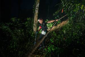 BIB: 
                            <button type="button" onclick="openModal(26374764)" class="btn btn-primary btn-sm float-right btn-popup" data-toggle="modal" data-target=".modal-high-quality">
                        <i class="fas fa-shopping-cart"></i> Add to Cart
                    </button>
                                            <button type="button" onclick="isThisMe(26374764, true)" class="btn btn-success btn-sm float-right btn-popup btn-isme hidden" data-toggle="tooltip" data-placement="bottom" title="นี่คือรูปของคุณใช่ไหม คลิกที่นี่เพื่อเอาเข้าอัลบั้ม">
                        <i class="fas fa-plus"></i> Add to album
                    </button>
                    <button type="button" onclick="isThisMe(26374764, false)" class="btn btn-warning btn-sm float-right btn-popup btn-isnotme hidden">
                        <i class="fas fa-ban"></i> Remove from album
                    </button>