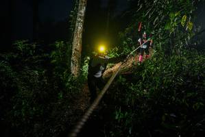 BIB: 
                            <button type="button" onclick="openModal(26375241)" class="btn btn-primary btn-sm float-right btn-popup" data-toggle="modal" data-target=".modal-high-quality">
                        <i class="fas fa-shopping-cart"></i> Add to Cart
                    </button>
                                            <button type="button" onclick="isThisMe(26375241, true)" class="btn btn-success btn-sm float-right btn-popup btn-isme hidden" data-toggle="tooltip" data-placement="bottom" title="นี่คือรูปของคุณใช่ไหม คลิกที่นี่เพื่อเอาเข้าอัลบั้ม">
                        <i class="fas fa-plus"></i> Add to album
                    </button>
                    <button type="button" onclick="isThisMe(26375241, false)" class="btn btn-warning btn-sm float-right btn-popup btn-isnotme hidden">
                        <i class="fas fa-ban"></i> Remove from album
                    </button>