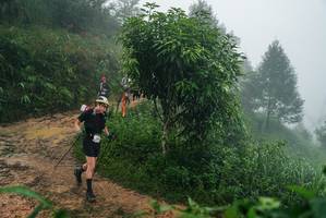 BIB: 
                            <button type="button" onclick="openModal(26379723)" class="btn btn-primary btn-sm float-right btn-popup" data-toggle="modal" data-target=".modal-high-quality">
                        <i class="fas fa-shopping-cart"></i> Add to Cart
                    </button>
                                            <button type="button" onclick="isThisMe(26379723, true)" class="btn btn-success btn-sm float-right btn-popup btn-isme hidden" data-toggle="tooltip" data-placement="bottom" title="นี่คือรูปของคุณใช่ไหม คลิกที่นี่เพื่อเอาเข้าอัลบั้ม">
                        <i class="fas fa-plus"></i> Add to album
                    </button>
                    <button type="button" onclick="isThisMe(26379723, false)" class="btn btn-warning btn-sm float-right btn-popup btn-isnotme hidden">
                        <i class="fas fa-ban"></i> Remove from album
                    </button>