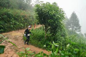 BIB: 
                            <button type="button" onclick="openModal(26385213)" class="btn btn-primary btn-sm float-right btn-popup" data-toggle="modal" data-target=".modal-high-quality">
                        <i class="fas fa-shopping-cart"></i> Add to Cart
                    </button>
                                            <button type="button" onclick="isThisMe(26385213, true)" class="btn btn-success btn-sm float-right btn-popup btn-isme hidden" data-toggle="tooltip" data-placement="bottom" title="นี่คือรูปของคุณใช่ไหม คลิกที่นี่เพื่อเอาเข้าอัลบั้ม">
                        <i class="fas fa-plus"></i> Add to album
                    </button>
                    <button type="button" onclick="isThisMe(26385213, false)" class="btn btn-warning btn-sm float-right btn-popup btn-isnotme hidden">
                        <i class="fas fa-ban"></i> Remove from album
                    </button>