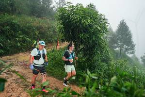 BIB: 
                            <button type="button" onclick="openModal(26382018)" class="btn btn-primary btn-sm float-right btn-popup" data-toggle="modal" data-target=".modal-high-quality">
                        <i class="fas fa-shopping-cart"></i> Add to Cart
                    </button>
                                            <button type="button" onclick="isThisMe(26382018, true)" class="btn btn-success btn-sm float-right btn-popup btn-isme hidden" data-toggle="tooltip" data-placement="bottom" title="นี่คือรูปของคุณใช่ไหม คลิกที่นี่เพื่อเอาเข้าอัลบั้ม">
                        <i class="fas fa-plus"></i> Add to album
                    </button>
                    <button type="button" onclick="isThisMe(26382018, false)" class="btn btn-warning btn-sm float-right btn-popup btn-isnotme hidden">
                        <i class="fas fa-ban"></i> Remove from album
                    </button>