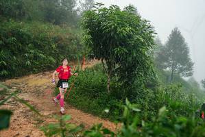 BIB: 
                            <button type="button" onclick="openModal(26383277)" class="btn btn-primary btn-sm float-right btn-popup" data-toggle="modal" data-target=".modal-high-quality">
                        <i class="fas fa-shopping-cart"></i> Add to Cart
                    </button>
                                            <button type="button" onclick="isThisMe(26383277, true)" class="btn btn-success btn-sm float-right btn-popup btn-isme hidden" data-toggle="tooltip" data-placement="bottom" title="นี่คือรูปของคุณใช่ไหม คลิกที่นี่เพื่อเอาเข้าอัลบั้ม">
                        <i class="fas fa-plus"></i> Add to album
                    </button>
                    <button type="button" onclick="isThisMe(26383277, false)" class="btn btn-warning btn-sm float-right btn-popup btn-isnotme hidden">
                        <i class="fas fa-ban"></i> Remove from album
                    </button>