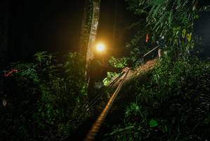 BIB: 
                            <button type="button" onclick="openModal(26373877)" class="btn btn-primary btn-sm float-right btn-popup" data-toggle="modal" data-target=".modal-high-quality">
                        <i class="fas fa-shopping-cart"></i> Add to Cart
                    </button>
                                            <button type="button" onclick="isThisMe(26373877, true)" class="btn btn-success btn-sm float-right btn-popup btn-isme hidden" data-toggle="tooltip" data-placement="bottom" title="นี่คือรูปของคุณใช่ไหม คลิกที่นี่เพื่อเอาเข้าอัลบั้ม">
                        <i class="fas fa-plus"></i> Add to album
                    </button>
                    <button type="button" onclick="isThisMe(26373877, false)" class="btn btn-warning btn-sm float-right btn-popup btn-isnotme hidden">
                        <i class="fas fa-ban"></i> Remove from album
                    </button>