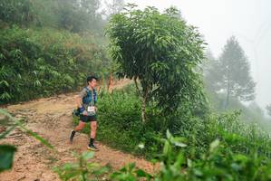 BIB: 
                            <button type="button" onclick="openModal(26384636)" class="btn btn-primary btn-sm float-right btn-popup" data-toggle="modal" data-target=".modal-high-quality">
                        <i class="fas fa-shopping-cart"></i> Add to Cart
                    </button>
                                            <button type="button" onclick="isThisMe(26384636, true)" class="btn btn-success btn-sm float-right btn-popup btn-isme hidden" data-toggle="tooltip" data-placement="bottom" title="นี่คือรูปของคุณใช่ไหม คลิกที่นี่เพื่อเอาเข้าอัลบั้ม">
                        <i class="fas fa-plus"></i> Add to album
                    </button>
                    <button type="button" onclick="isThisMe(26384636, false)" class="btn btn-warning btn-sm float-right btn-popup btn-isnotme hidden">
                        <i class="fas fa-ban"></i> Remove from album
                    </button>