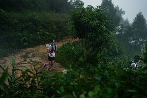 BIB: 
                            <button type="button" onclick="openModal(26378620)" class="btn btn-primary btn-sm float-right btn-popup" data-toggle="modal" data-target=".modal-high-quality">
                        <i class="fas fa-shopping-cart"></i> Add to Cart
                    </button>
                                            <button type="button" onclick="isThisMe(26378620, true)" class="btn btn-success btn-sm float-right btn-popup btn-isme hidden" data-toggle="tooltip" data-placement="bottom" title="นี่คือรูปของคุณใช่ไหม คลิกที่นี่เพื่อเอาเข้าอัลบั้ม">
                        <i class="fas fa-plus"></i> Add to album
                    </button>
                    <button type="button" onclick="isThisMe(26378620, false)" class="btn btn-warning btn-sm float-right btn-popup btn-isnotme hidden">
                        <i class="fas fa-ban"></i> Remove from album
                    </button>