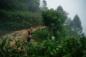 BIB: 
                            <button type="button" onclick="openModal(26378904)" class="btn btn-primary btn-sm float-right btn-popup" data-toggle="modal" data-target=".modal-high-quality">
                        <i class="fas fa-shopping-cart"></i> Add to Cart
                    </button>
                                            <button type="button" onclick="isThisMe(26378904, true)" class="btn btn-success btn-sm float-right btn-popup btn-isme hidden" data-toggle="tooltip" data-placement="bottom" title="นี่คือรูปของคุณใช่ไหม คลิกที่นี่เพื่อเอาเข้าอัลบั้ม">
                        <i class="fas fa-plus"></i> Add to album
                    </button>
                    <button type="button" onclick="isThisMe(26378904, false)" class="btn btn-warning btn-sm float-right btn-popup btn-isnotme hidden">
                        <i class="fas fa-ban"></i> Remove from album
                    </button>