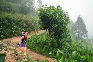 BIB: 
                            <button type="button" onclick="openModal(26385790)" class="btn btn-primary btn-sm float-right btn-popup" data-toggle="modal" data-target=".modal-high-quality">
                        <i class="fas fa-shopping-cart"></i> Add to Cart
                    </button>
                                            <button type="button" onclick="isThisMe(26385790, true)" class="btn btn-success btn-sm float-right btn-popup btn-isme hidden" data-toggle="tooltip" data-placement="bottom" title="นี่คือรูปของคุณใช่ไหม คลิกที่นี่เพื่อเอาเข้าอัลบั้ม">
                        <i class="fas fa-plus"></i> Add to album
                    </button>
                    <button type="button" onclick="isThisMe(26385790, false)" class="btn btn-warning btn-sm float-right btn-popup btn-isnotme hidden">
                        <i class="fas fa-ban"></i> Remove from album
                    </button>