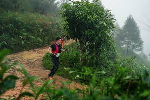 BIB: 
                            <button type="button" onclick="openModal(26381381)" class="btn btn-primary btn-sm float-right btn-popup" data-toggle="modal" data-target=".modal-high-quality">
                        <i class="fas fa-shopping-cart"></i> Add to Cart
                    </button>
                                            <button type="button" onclick="isThisMe(26381381, true)" class="btn btn-success btn-sm float-right btn-popup btn-isme hidden" data-toggle="tooltip" data-placement="bottom" title="นี่คือรูปของคุณใช่ไหม คลิกที่นี่เพื่อเอาเข้าอัลบั้ม">
                        <i class="fas fa-plus"></i> Add to album
                    </button>
                    <button type="button" onclick="isThisMe(26381381, false)" class="btn btn-warning btn-sm float-right btn-popup btn-isnotme hidden">
                        <i class="fas fa-ban"></i> Remove from album
                    </button>