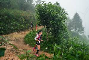 BIB: 
                            <button type="button" onclick="openModal(26382958)" class="btn btn-primary btn-sm float-right btn-popup" data-toggle="modal" data-target=".modal-high-quality">
                        <i class="fas fa-shopping-cart"></i> Add to Cart
                    </button>
                                            <button type="button" onclick="isThisMe(26382958, true)" class="btn btn-success btn-sm float-right btn-popup btn-isme hidden" data-toggle="tooltip" data-placement="bottom" title="นี่คือรูปของคุณใช่ไหม คลิกที่นี่เพื่อเอาเข้าอัลบั้ม">
                        <i class="fas fa-plus"></i> Add to album
                    </button>
                    <button type="button" onclick="isThisMe(26382958, false)" class="btn btn-warning btn-sm float-right btn-popup btn-isnotme hidden">
                        <i class="fas fa-ban"></i> Remove from album
                    </button>