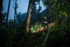 BIB: 
                            <button type="button" onclick="openModal(26375864)" class="btn btn-primary btn-sm float-right btn-popup" data-toggle="modal" data-target=".modal-high-quality">
                        <i class="fas fa-shopping-cart"></i> Add to Cart
                    </button>
                                            <button type="button" onclick="isThisMe(26375864, true)" class="btn btn-success btn-sm float-right btn-popup btn-isme hidden" data-toggle="tooltip" data-placement="bottom" title="นี่คือรูปของคุณใช่ไหม คลิกที่นี่เพื่อเอาเข้าอัลบั้ม">
                        <i class="fas fa-plus"></i> Add to album
                    </button>
                    <button type="button" onclick="isThisMe(26375864, false)" class="btn btn-warning btn-sm float-right btn-popup btn-isnotme hidden">
                        <i class="fas fa-ban"></i> Remove from album
                    </button>