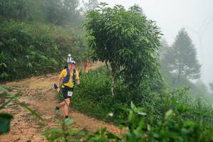 BIB: 
                            <button type="button" onclick="openModal(26384029)" class="btn btn-primary btn-sm float-right btn-popup" data-toggle="modal" data-target=".modal-high-quality">
                        <i class="fas fa-shopping-cart"></i> Add to Cart
                    </button>
                                            <button type="button" onclick="isThisMe(26384029, true)" class="btn btn-success btn-sm float-right btn-popup btn-isme hidden" data-toggle="tooltip" data-placement="bottom" title="นี่คือรูปของคุณใช่ไหม คลิกที่นี่เพื่อเอาเข้าอัลบั้ม">
                        <i class="fas fa-plus"></i> Add to album
                    </button>
                    <button type="button" onclick="isThisMe(26384029, false)" class="btn btn-warning btn-sm float-right btn-popup btn-isnotme hidden">
                        <i class="fas fa-ban"></i> Remove from album
                    </button>