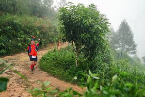 BIB: 
                            <button type="button" onclick="openModal(26385244)" class="btn btn-primary btn-sm float-right btn-popup" data-toggle="modal" data-target=".modal-high-quality">
                        <i class="fas fa-shopping-cart"></i> Add to Cart
                    </button>
                                            <button type="button" onclick="isThisMe(26385244, true)" class="btn btn-success btn-sm float-right btn-popup btn-isme hidden" data-toggle="tooltip" data-placement="bottom" title="นี่คือรูปของคุณใช่ไหม คลิกที่นี่เพื่อเอาเข้าอัลบั้ม">
                        <i class="fas fa-plus"></i> Add to album
                    </button>
                    <button type="button" onclick="isThisMe(26385244, false)" class="btn btn-warning btn-sm float-right btn-popup btn-isnotme hidden">
                        <i class="fas fa-ban"></i> Remove from album
                    </button>